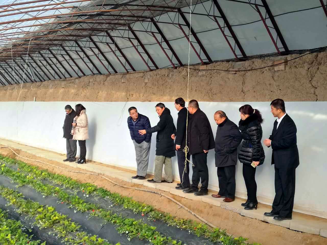 塞上江南河套腹地巴彥淖爾將冉起國家農高區