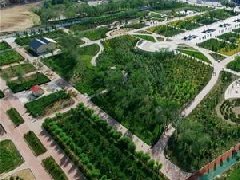 關于“十四五”規劃的幾點建議