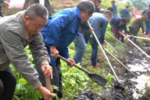  雙橋經開區(qū)：開展常態(tài)化活動 共建美好家園