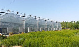 山東高青啟動(dòng)國家農(nóng)業(yè)科技園區(qū)申報(bào)工作