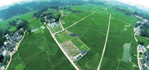 大健康事業(yè)是國(guó)家趨勢(shì)，現(xiàn)今走在前面的人，將是未來的主角！