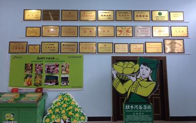 “芒果百色，香飄百地” 國內首家芒果精深加工特色產業基地申報進行時