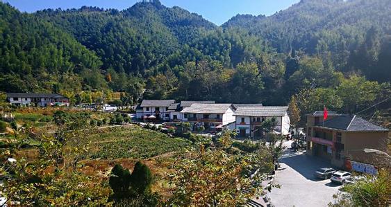 五、鄉村振興科技引領示范村鎮的申報