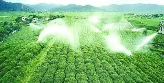 重磅！2019中央一號文件即將發布！大農業領域迎來新機遇