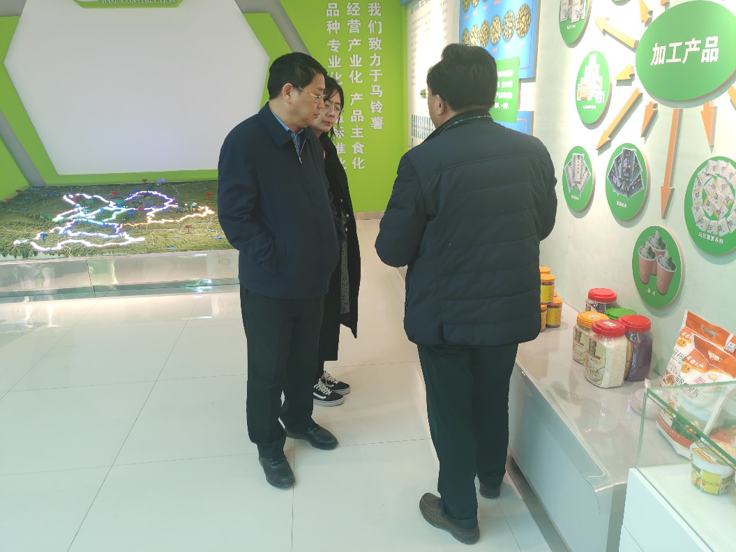 “中國(guó)薯都”再奏新旋律，定西市安定區(qū)開啟馬鈴薯產(chǎn)業(yè)發(fā)展新篇章