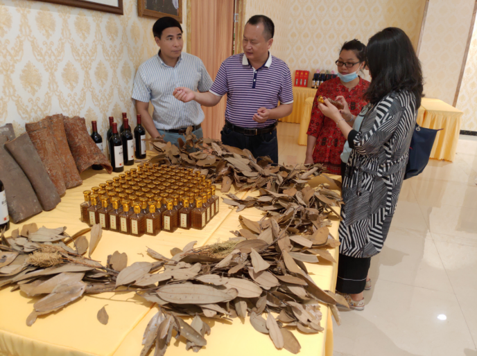 龔州大地，龍眼飄香-平南現(xiàn)代農業(yè)正釋放科技創(chuàng)新活力