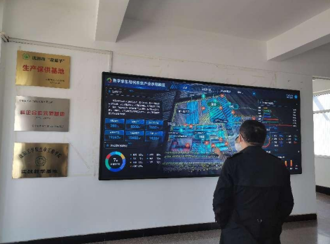 依托糧食和蔬菜兩大優(yōu)質(zhì)產(chǎn)業(yè)，新民市向國家農(nóng)業(yè)現(xiàn)代化示范區(qū)邁進(jìn)