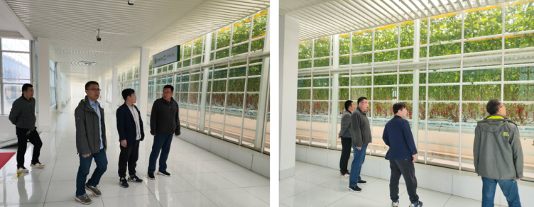 加強農業產業布局規劃，民樂縣向農業強縣進發